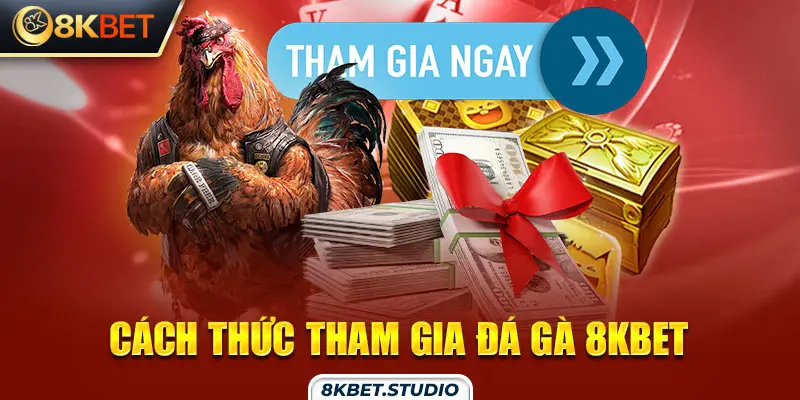 Cách thức tham gia đá gà 8kbet