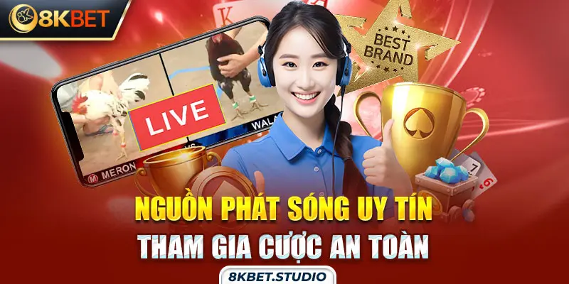 Nguồn phát sóng uy tín, tham gia cược an toàn