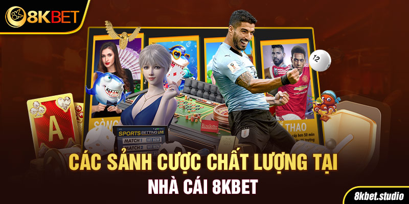 Giới thiệu 8kbet - Các sảnh cược chất lượng tại nhà cái 8kbet