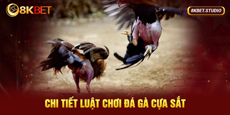 Luật chơi đá gà cựa sắt chi tiết